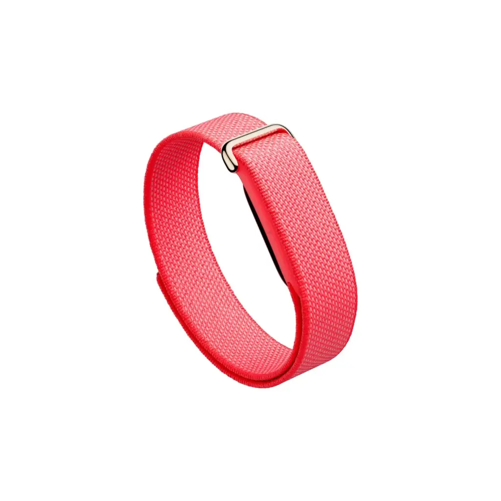Google Fitbit Air Berry Price in Pakistan